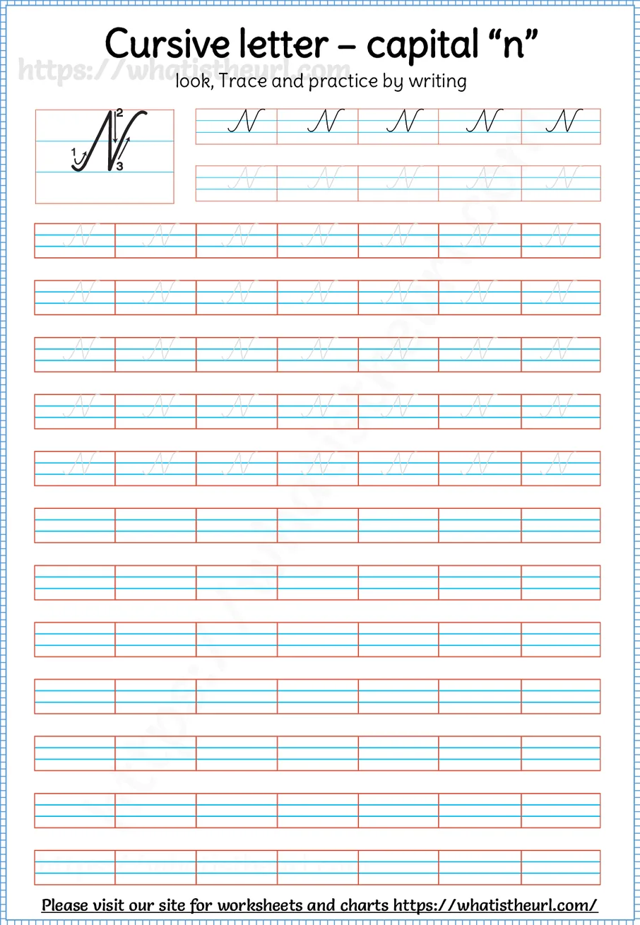 Cursive capital letter N worksheet with stroke order guide, dotted tracing rows and blank practice lines