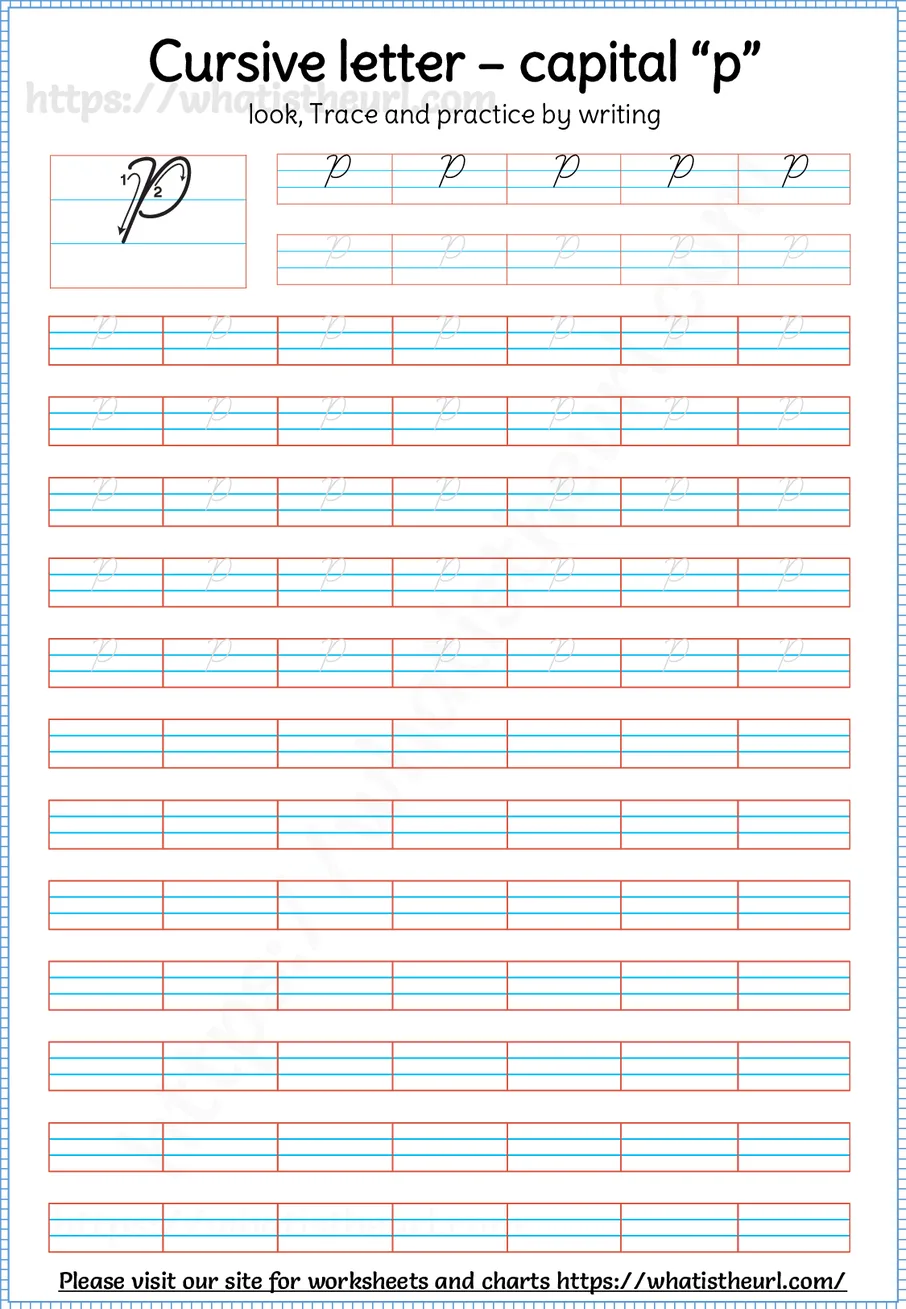 Cursive capital letter P worksheet with stroke order guide, dotted tracing rows and blank practice lines