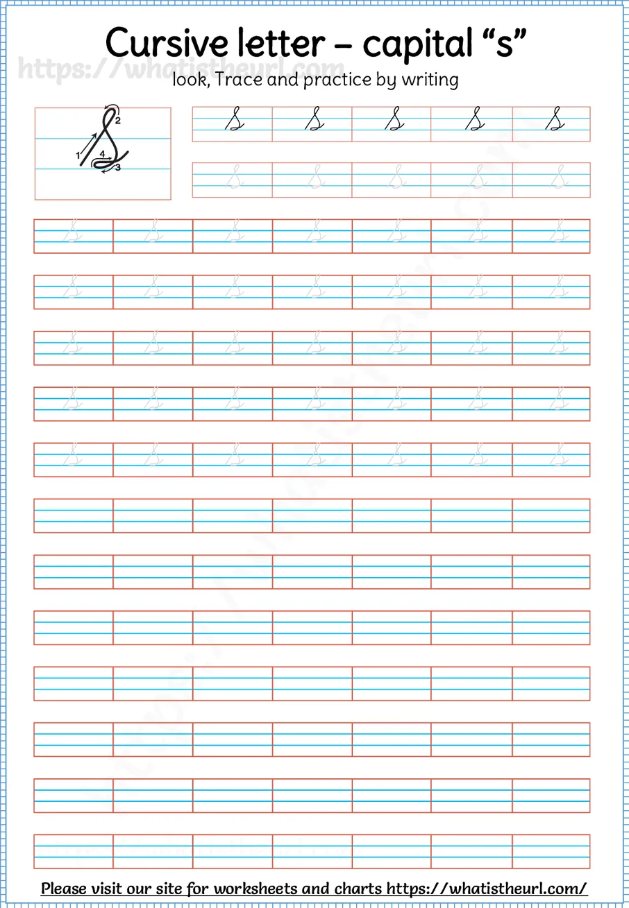 Cursive capital letter S worksheet with stroke order guide, dotted tracing rows and blank practice lines