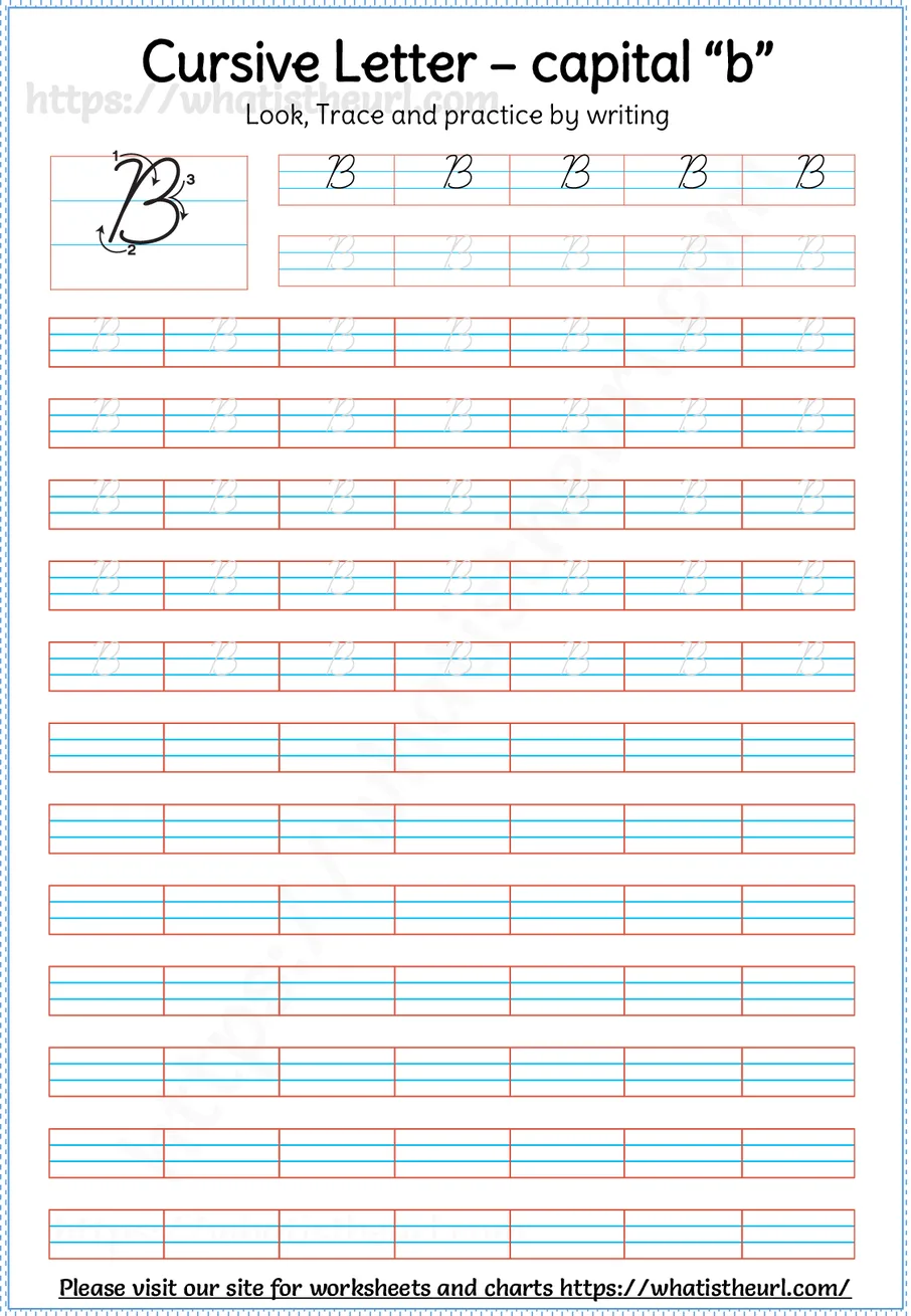Cursive capital letter B worksheet with stroke order guide, dotted tracing rows and blank practice lines