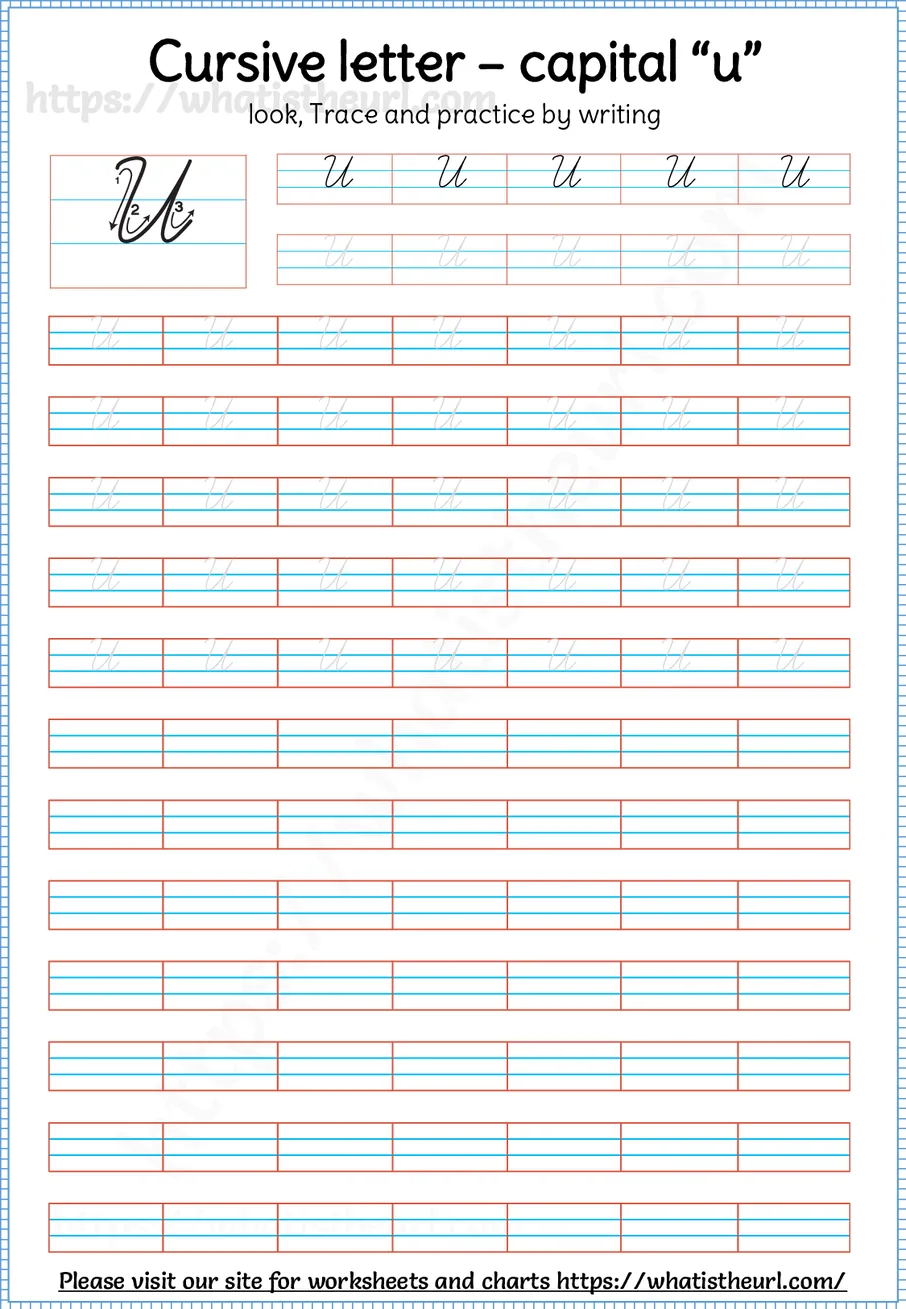 Cursive capital letter U worksheet with stroke order guide, dotted tracing rows and blank practice lines