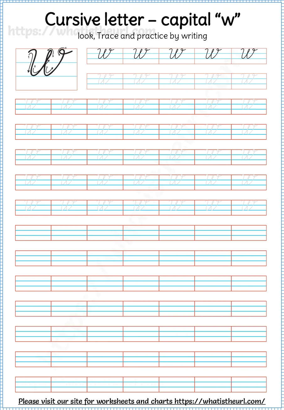 Cursive capital letter W worksheet with stroke order guide, dotted tracing rows and blank practice lines