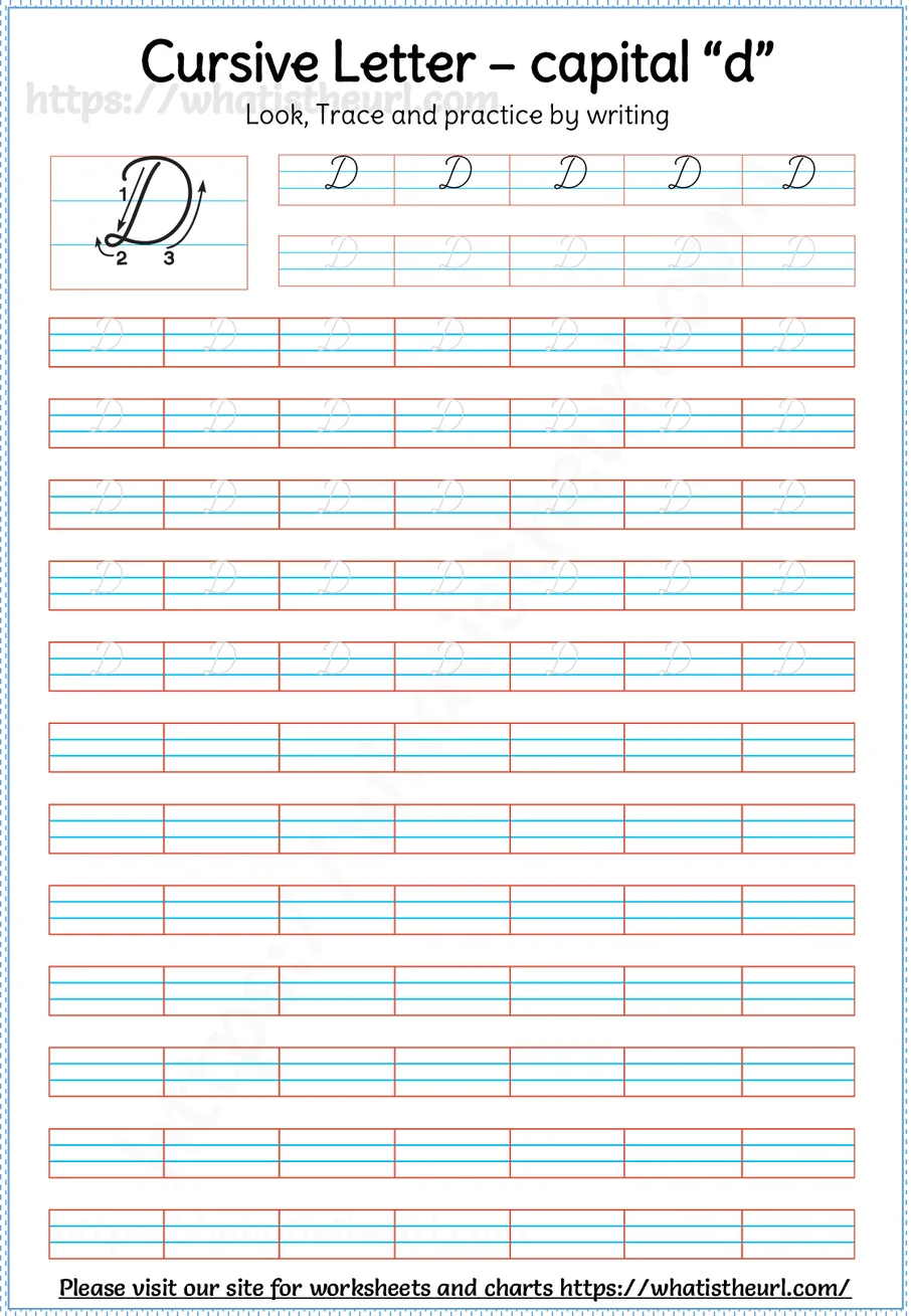 Cursive capital letter D worksheet with stroke order guide, dotted tracing rows and blank practice lines