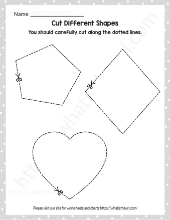 You Should Carefully Cut Along The Dotted Lines