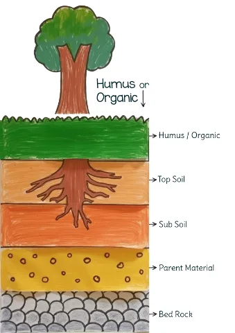 Diy Layers Of Soil Template