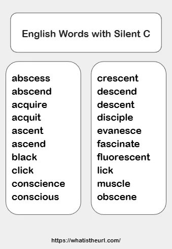 English Words With Silent C