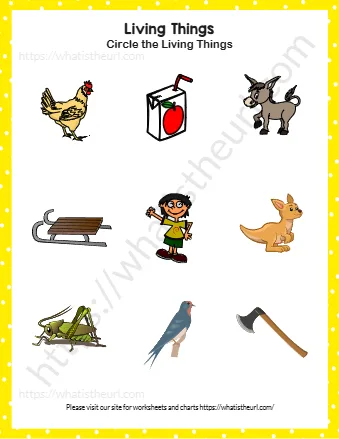 Find And Circle Living Things Exercise 1