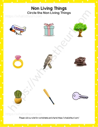 Find And Circle Non Living Things Exercise 1