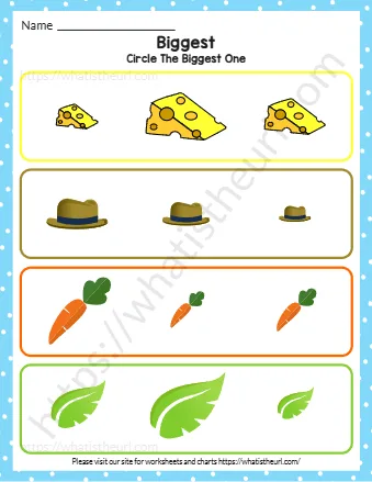 Find And Circle The Biggest For Pre K Exercise 2