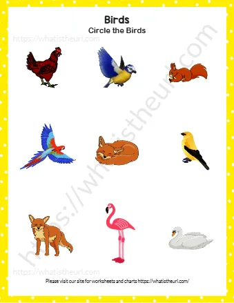 Find And Circle The Birds Exercise 1
