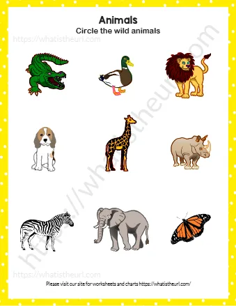 Find And Circle The Wild Animals