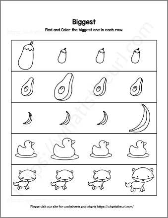 Find And Color The Biggest One In Each Row