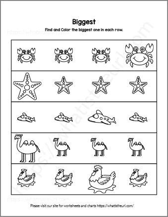 Find And Color The Biggest One In Each Row