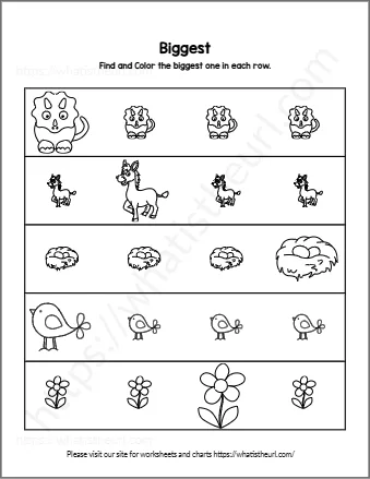 Find And Color The Biggest One In Each Row