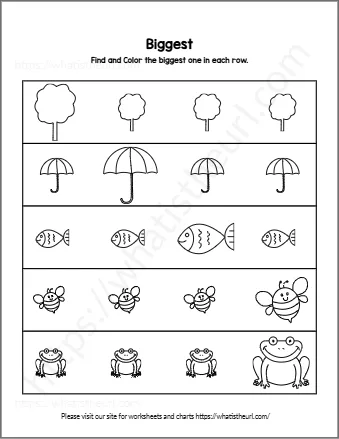 Find And Color The Biggest One In Each Row