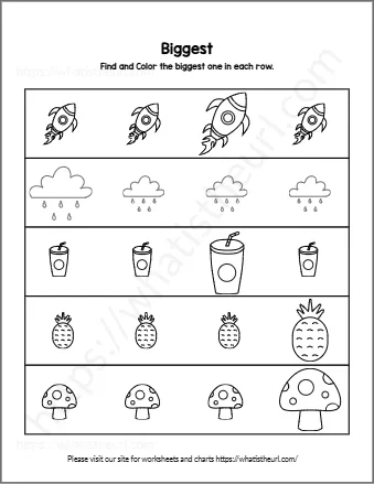 Find And Color The Biggest One In Each Row