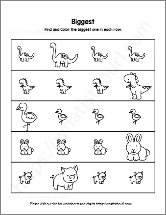 Find And Color The Biggest One In Each Row