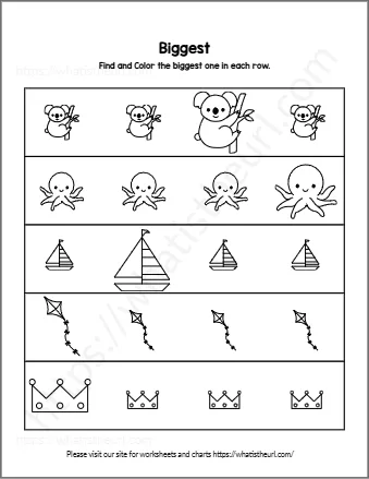 Find And Color The Biggest One In Each Row