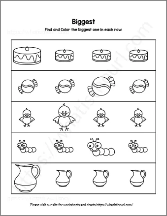 Find And Color The Biggest One In Each Row