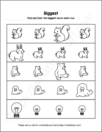 Find And Color The Biggest One In Each Row