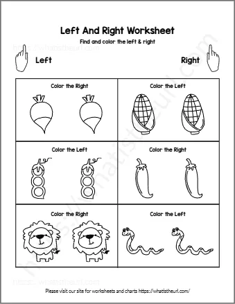 Left And Right Worksheet
