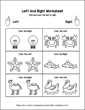 Left And Right Worksheet