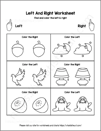 Left And Right Worksheet