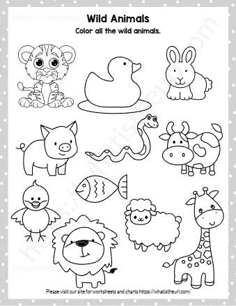 Color All The Wild Animals
