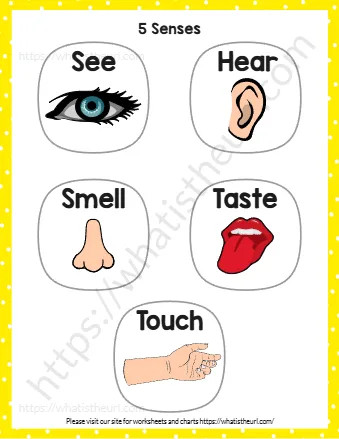 Five Senses Chart Printable PDF