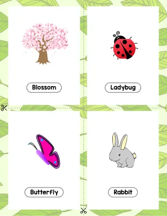 Flashcards on Spring Season