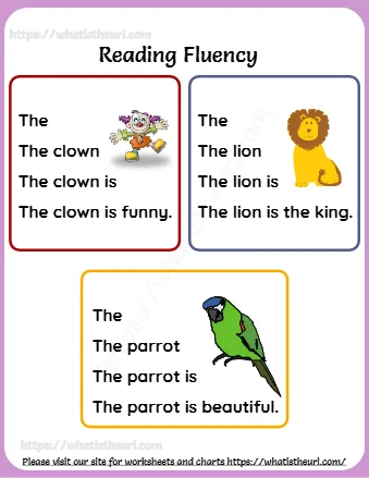 The Parrot Is Beautiful