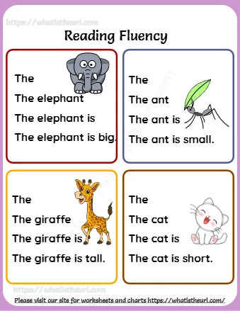 The Giraffe Is Tall
