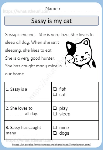 Sleep All Day When She Isn T