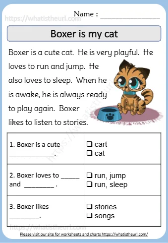 Boxer Is A Cute Cat He Is Very Playful He