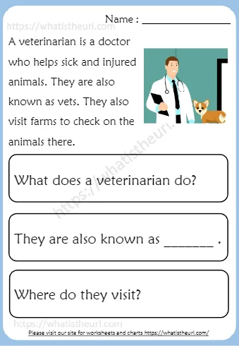 A Veterinarian Is A Doctor