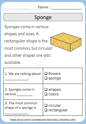 Sponges Come In Various