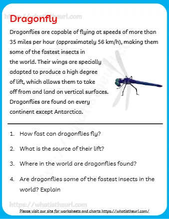Dragonflies Are Capable Of Flying At Speeds Of More Than