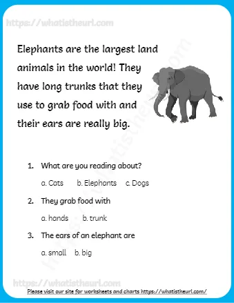 Elephants Are The Largest Land