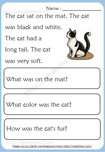 The Cat Sat On The Mat The Cat