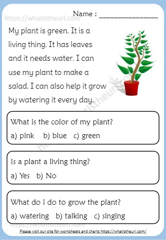My Plant Is Green It Is A Living Thing It Has Leaves