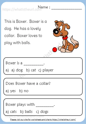 This Is Boxer Is A Dog He Has A Lovely