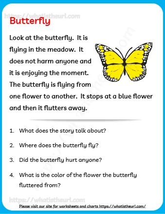 Look At The Butterfly It Is