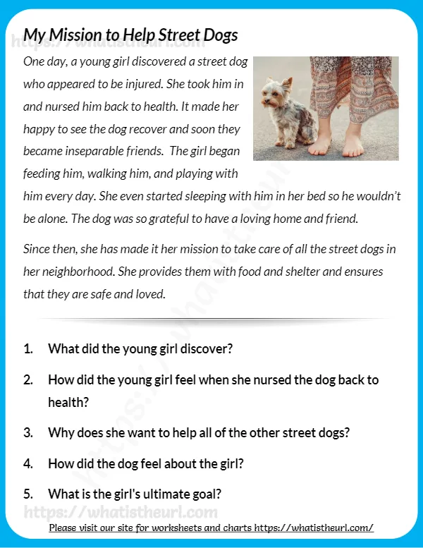 One Day A Young Girl Discovered A Street Dog