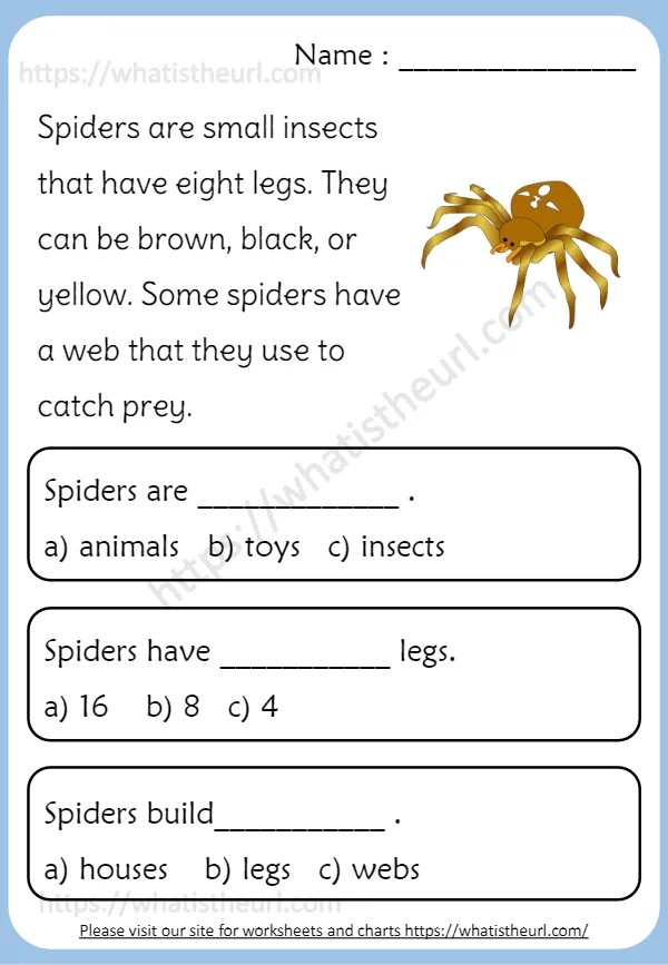 Spiders Are Small Insects