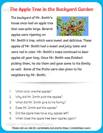 The Apple Tree in the Backyard Garden
