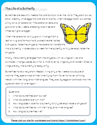 The Life of a Butterfly, The Water Cycle, The Solar System, The Value of Friendship