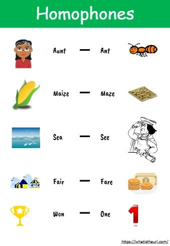 Homophones Aunt Maize Sea Fair Won Ant Maze See Fare