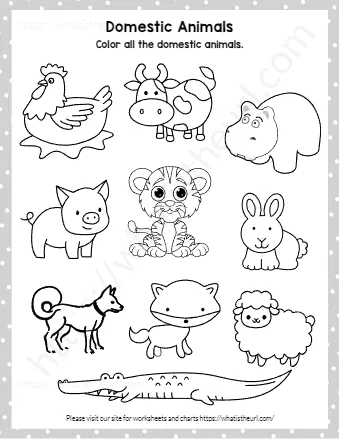 Color All The Domestic Animals