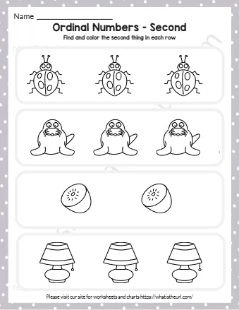 Find And Color The Second Thing In Each Row