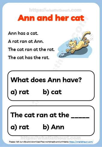 Ann Has A Cat